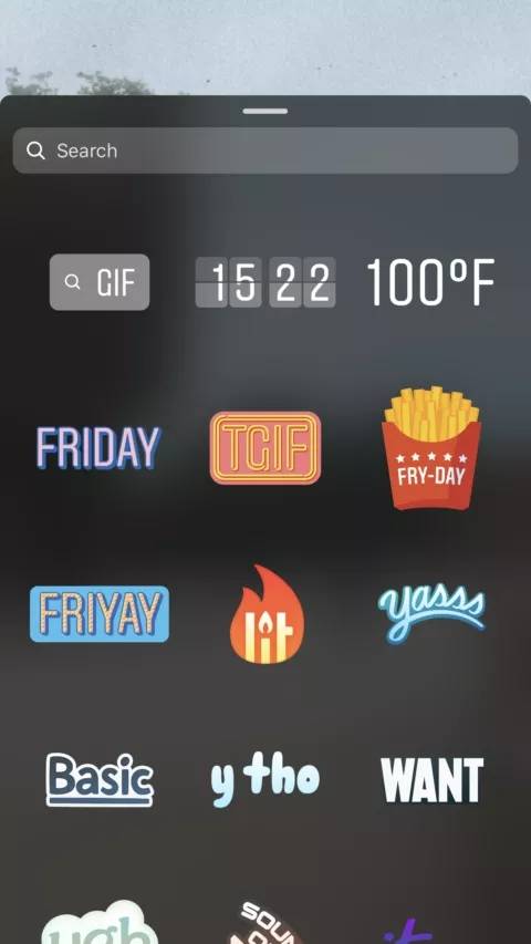 instagram 网页 版