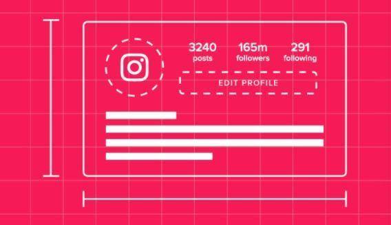 instagram人气