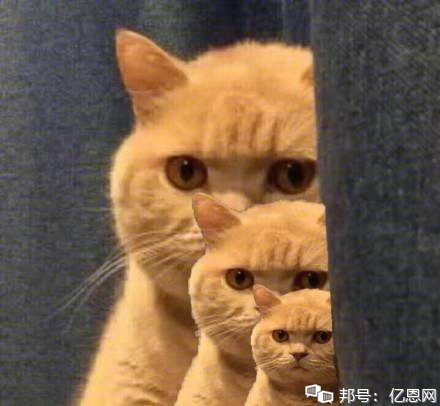 Facebook引人