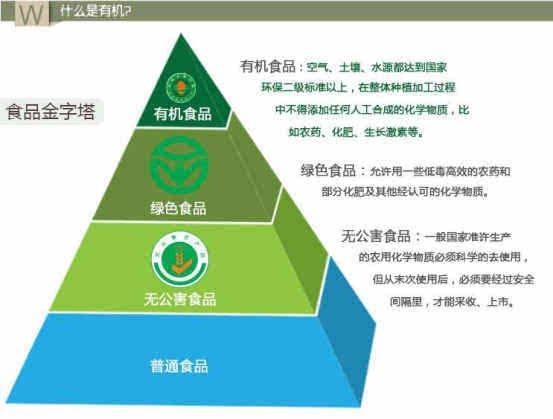 免费Instagram自助下单平台