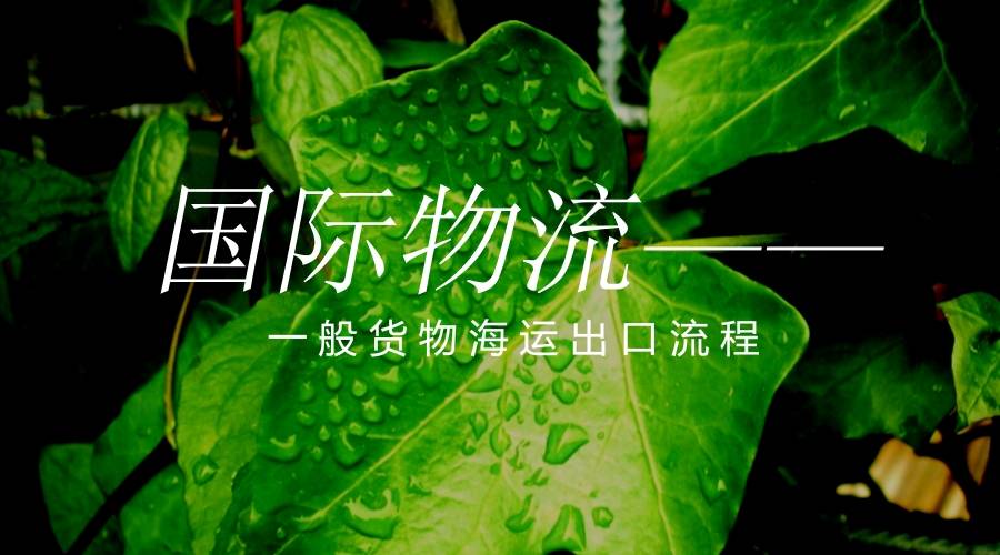 ins刷点like赞