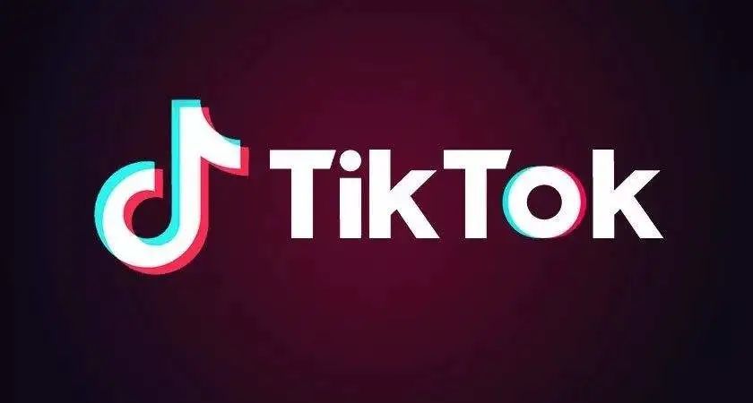 Tiktok粉丝
