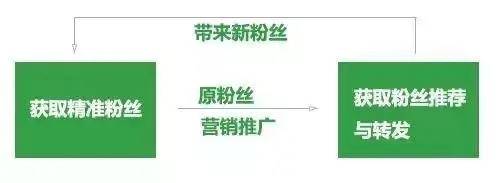 22579335-cef66ad7f34a0985.webp.jpg