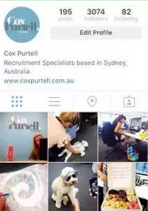 instagram人气