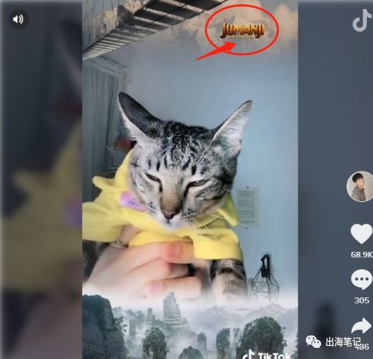 Tiktok买粉丝