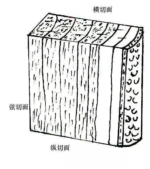 Instagram怎么移除粉丝