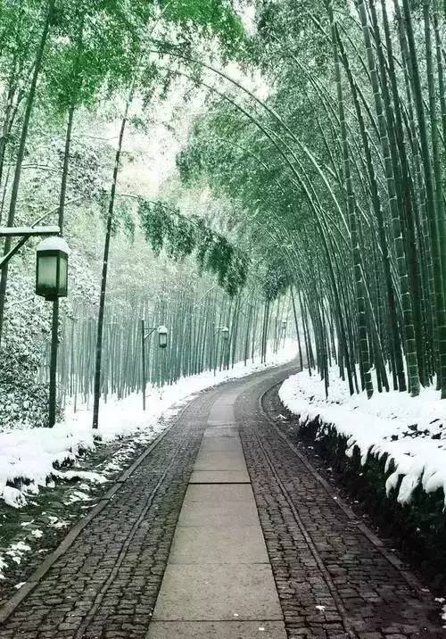 IG自助平台
