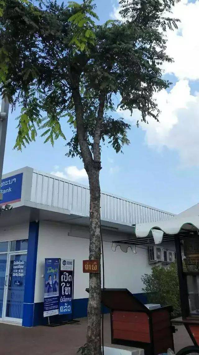 IG自助平台