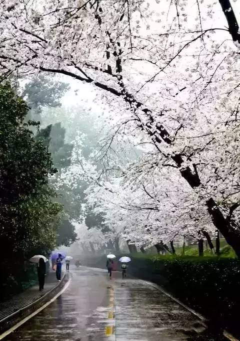 IG自助平台