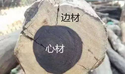 IG业务自助下单平台