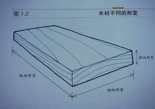 IG真人粉