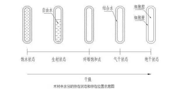 Instagram粉丝增加