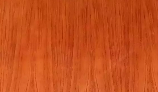 Instagram粉丝增加
