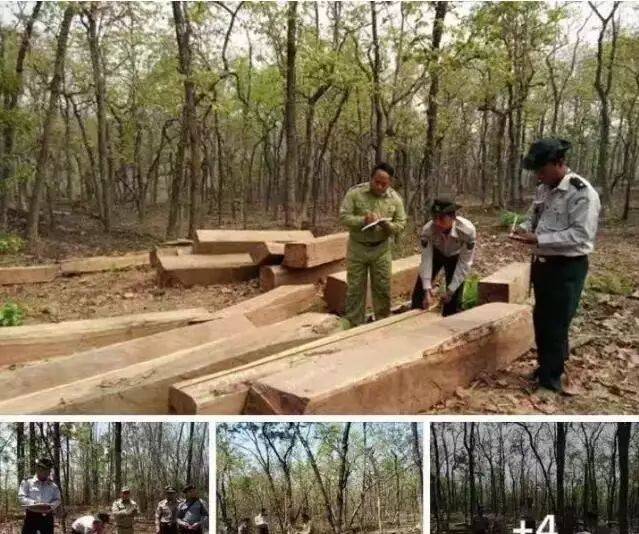 IG点关注