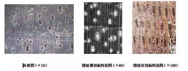 Instagram刷粉丝网站