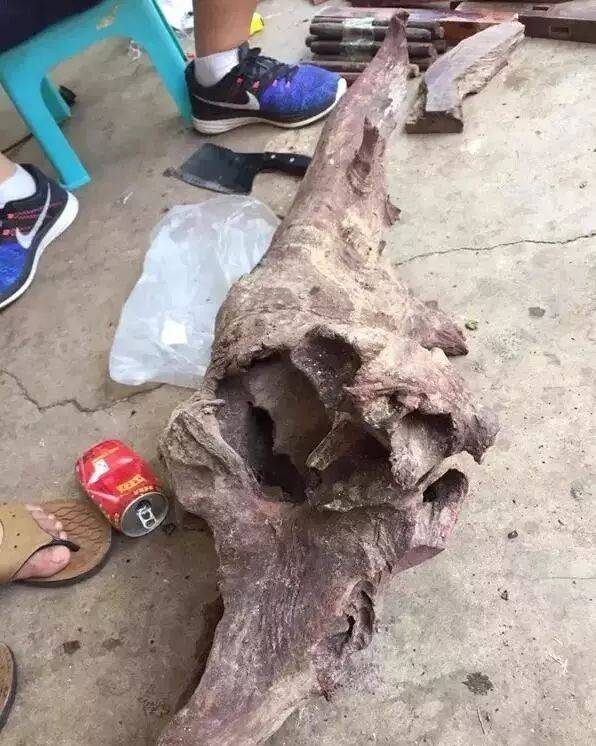 Instagram刷赞刷粉丝