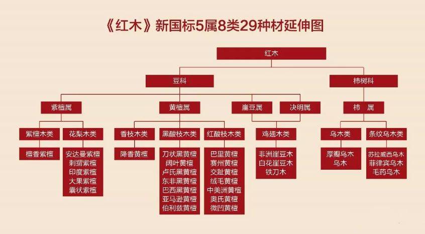 Instagram粉丝软件