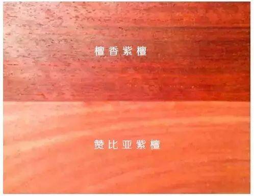 Instagram怎么移除粉丝