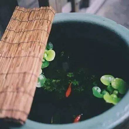 Instagram怎么移除粉丝