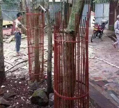 IG自助平台