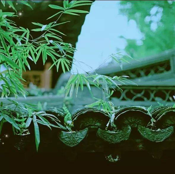 Instagram怎么买粉丝
