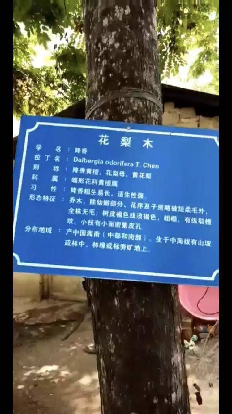 Instagram自助下单平台