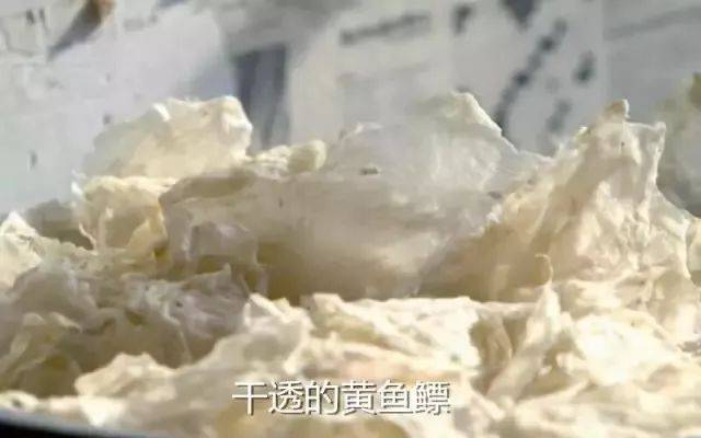 Instagram粉丝增加