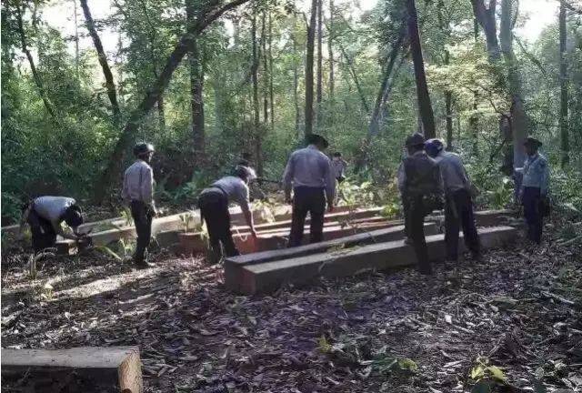 IG刷点击
