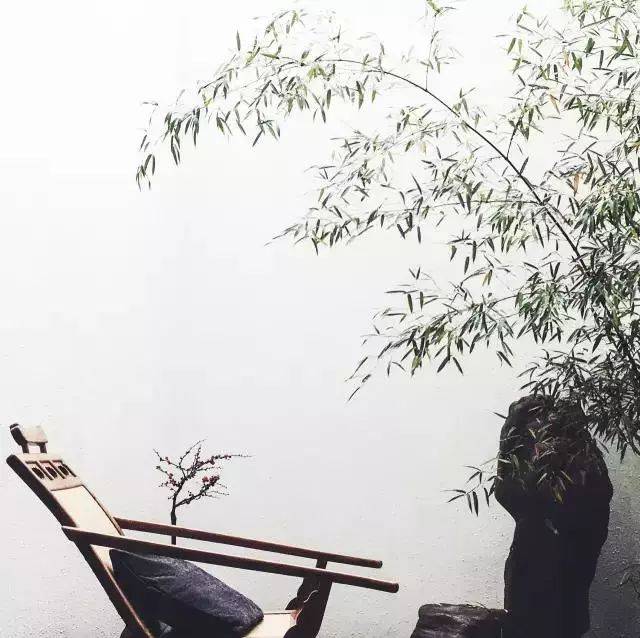 ins粉丝群