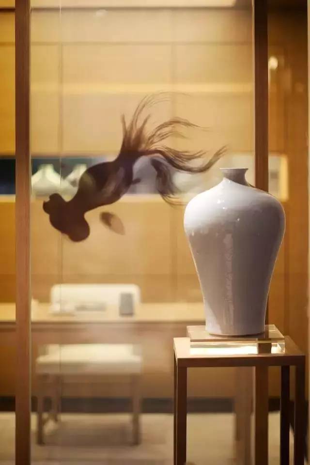 Instagram粉丝增加