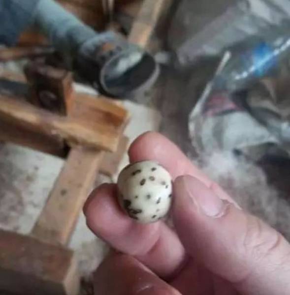 Instagram怎么移除粉丝