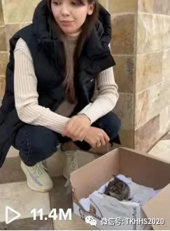 tik tok自助购买平台