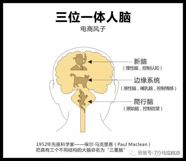 Instagram 自动点赞