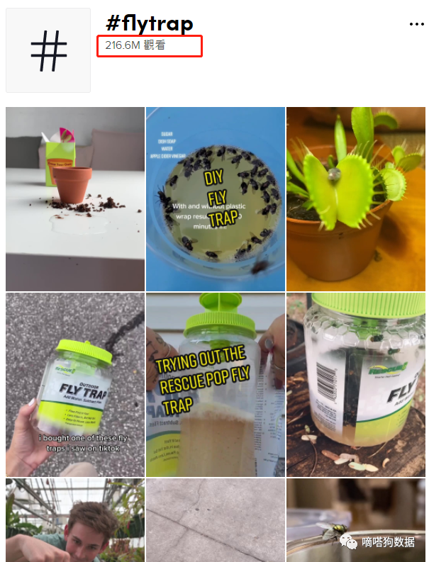 Instagram 自动赞