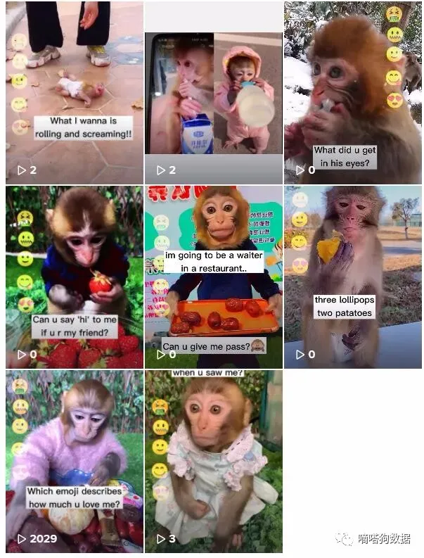 www.runwulink.com TikTok 推出全新广告，揭秘亚马逊珠宝零售商的成功之道。