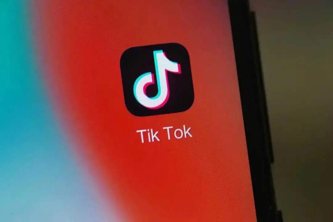 刷tik tok赞自助平台