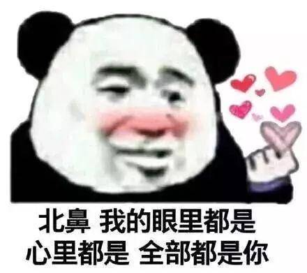 Instagram粉丝通