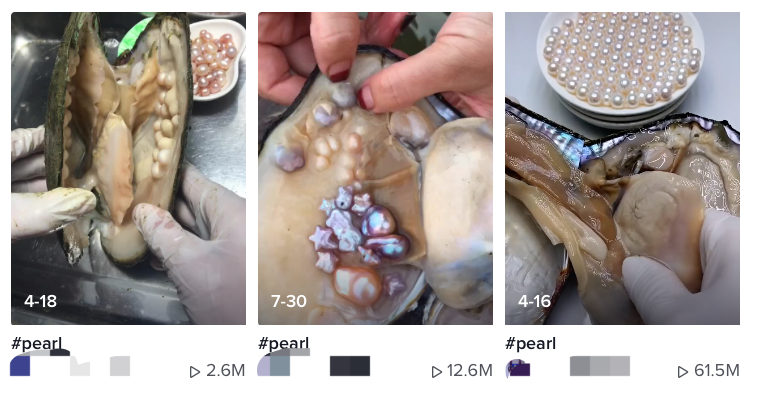 增加Tiktok粉丝
