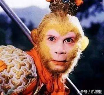 IG粉丝怎么买